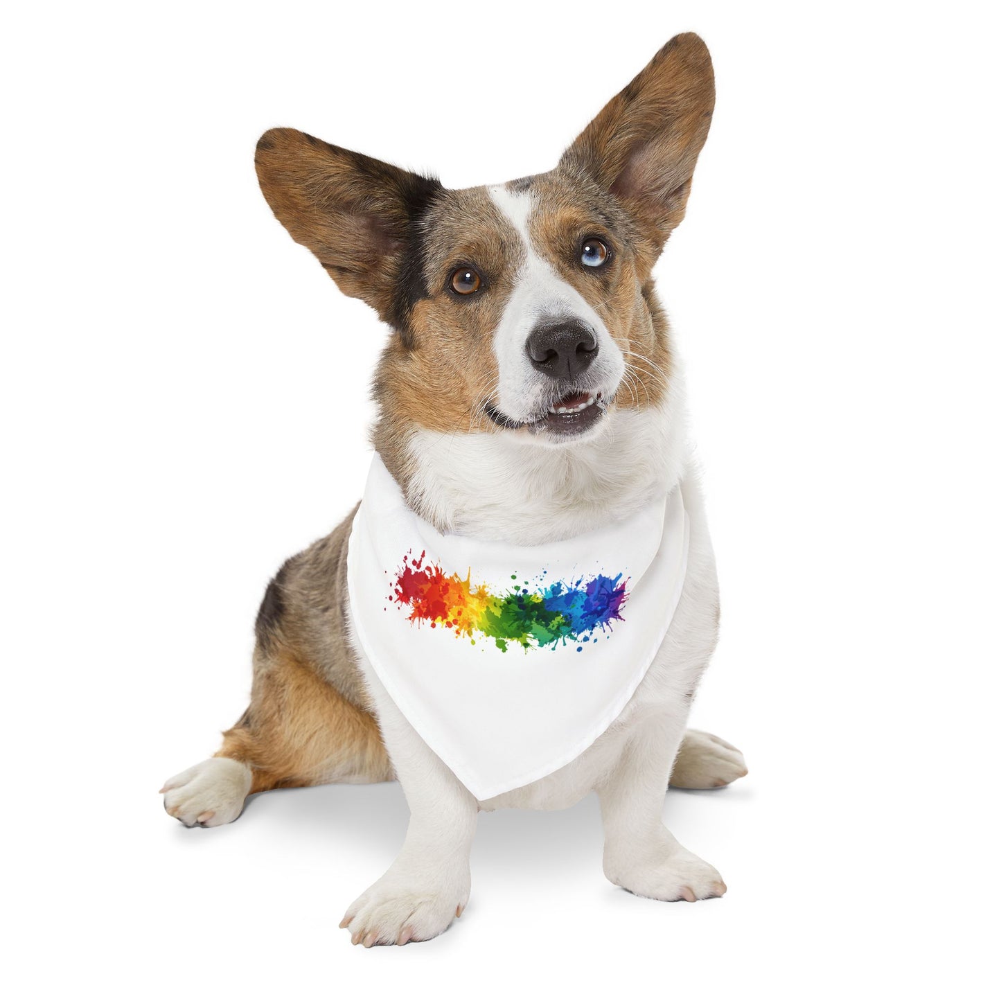 Pet Bandana Collar - PRIDE Design